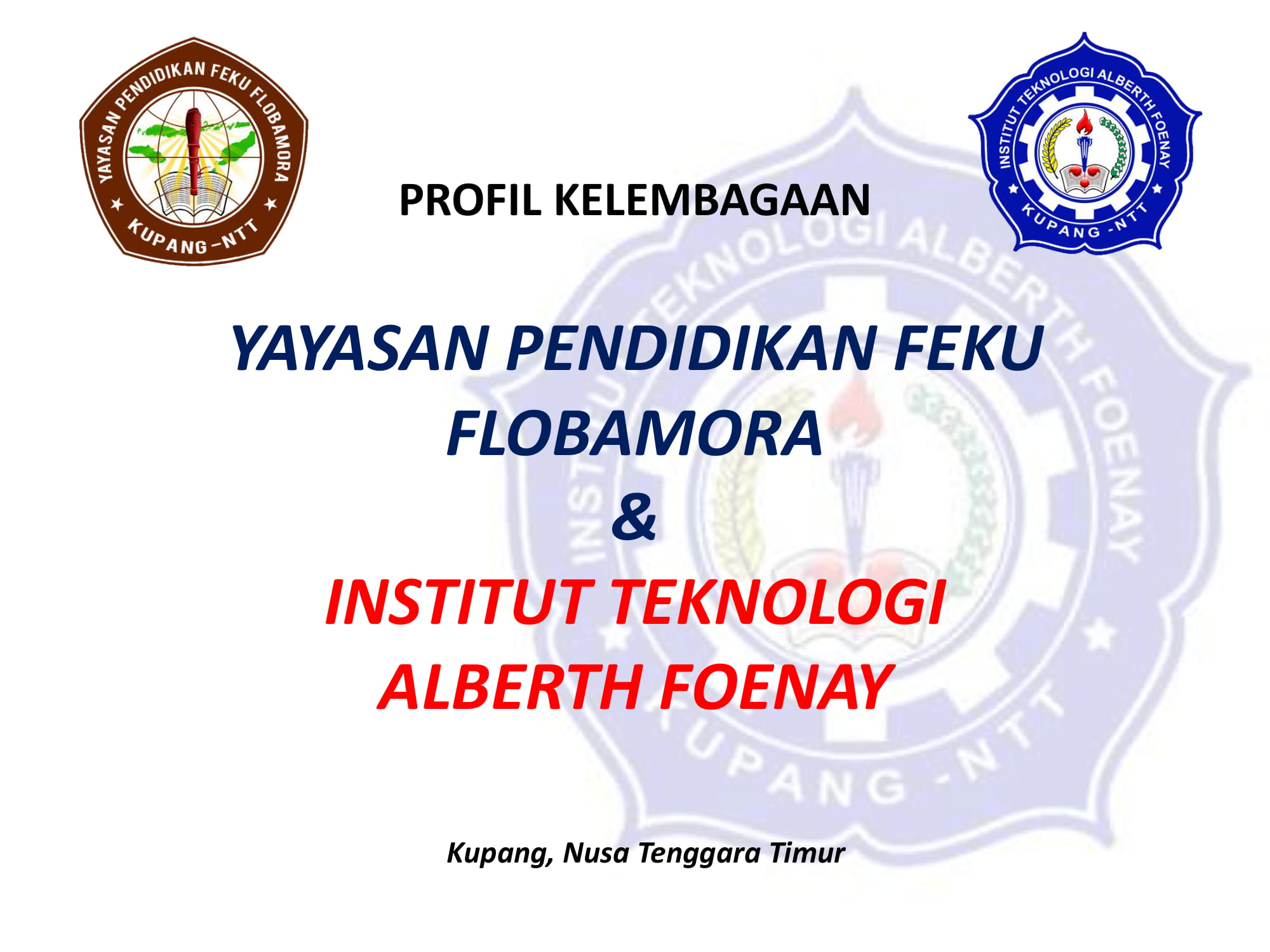 PROFIL KELEMBAGAAN ITAF_2020_web-01